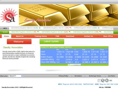 Capital Market Website