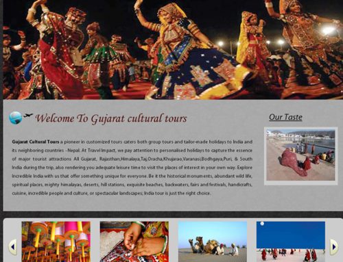 Tours and travels website